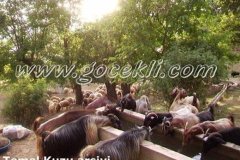 Baraj-Oncesi-Koy-Resimleri-108