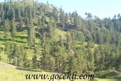 Baraj-Oncesi-Koy-Resimleri-113
