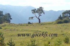 Baraj-Oncesi-Koy-Resimleri-62