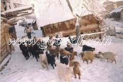 Baraj-Oncesi-Koy-Resimleri-80