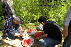 bursa-piknik-2012-15