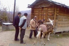 Fatih-Ispirli-2008-12