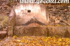 Koylulerimizden-Gelen-Resimler-226
