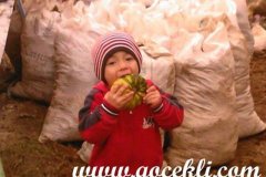 Koylulerimizden-Gelen-Resimler-236