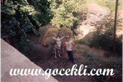 Koylulerimizden-Gelen-Resimler-387