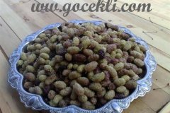 Koylulerimizden-Gelen-Resimler-403