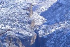 Koylulerimizden-Gelen-Resimler-77