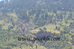 Ozkan-Bayraktar-19.07-36