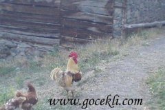 Ozkan-Bayraktar-19.07-38